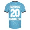 Officiële Voetbalshirt Bayer 04 Leverkusen Alejandro Grimaldo 20 Derde 2023-24 - Heren